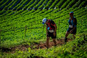 BIB: 
                            <button type="button" onclick="openModal(19161322)" class="btn btn-primary btn-sm float-right btn-popup" data-toggle="modal" data-target=".modal-high-quality">
                        <i class="fas fa-shopping-cart"></i> Add to Cart
                    </button>
                                            <button type="button" onclick="isThisMe(19161322, true)" class="btn btn-success btn-sm float-right btn-popup btn-isme hidden" data-toggle="tooltip" data-placement="bottom" title="นี่คือรูปของคุณใช่ไหม คลิกที่นี่เพื่อเอาเข้าอัลบั้ม">
                        <i class="fas fa-plus"></i> Add to album
                    </button>
                    <button type="button" onclick="isThisMe(19161322, false)" class="btn btn-warning btn-sm float-right btn-popup btn-isnotme hidden">
                        <i class="fas fa-ban"></i> Remove from album
                    </button>